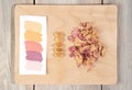 Composition of the creative palette: flower samples and a dry natural plant. Composition for your design. Royalty Free Stock Photo