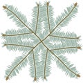 Composition of crossed green pine branches on a white isolated background