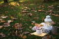 Composition with cup of coffee, book, plaid and autumn leaves on green grass outdoors. Space for text