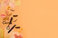 Composition with curler and false eyelashes on autumn background with yellow and red leaves Royalty Free Stock Photo