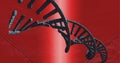 Composition of 3d dna strand on red background