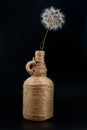 Composition of a dandelion in a bottle on a black background