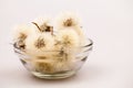 Composition with dandelion seeds and small glass objects