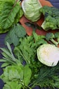 Composition on a dark background of green leafy vegetables containing folic acid, riboflavin, vitamin B9, B2, K, C - cabbage, broc Royalty Free Stock Photo