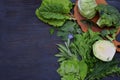 Composition on a dark background of green leafy vegetables containing folic acid, riboflavin, vitamin B9, B2, K, C - cabbage, broc Royalty Free Stock Photo