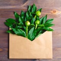 Composition on a dark wooden background. open envelope of craft paper with buds and leaves of peonies in it. minimal concept, falt Royalty Free Stock Photo