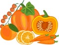 Composition of different orange vegetables and fruits