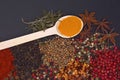Composition with different spices and herbs Royalty Free Stock Photo