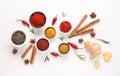 Composition with different spices isolated on white background Royalty Free Stock Photo