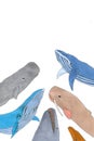 Composition of different types of whales such as blue whale, cachalot, narwhal, white whale.