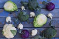 Composition from different varieties of cabbage on wooden background. Cauliflower, kohlrabi, broccoli, white head cabbage. Organic Royalty Free Stock Photo