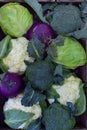 Composition from different varieties of cabbage on wooden background. Cauliflower, kohlrabi, broccoli, white head cabbage. Organic