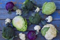 Composition from different varieties of cabbage on wooden background. Cauliflower, kohlrabi, broccoli, white head cabbage. Organic Royalty Free Stock Photo