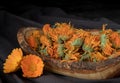 Composition of dried calendula herbs and flowers Royalty Free Stock Photo