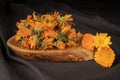 Composition of dried calendula herbs and flowers Royalty Free Stock Photo