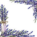 Composition of dried lavender flowers. Watercolor composition for invitations, postcards, greetings