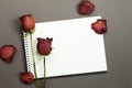 Composition of dried red roses, rose petals and an open black notebook with a white sheet of paper on a dark background. Dry red Royalty Free Stock Photo