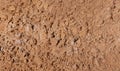 Composition of dry yellow sand Royalty Free Stock Photo