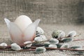 Composition of Easter eggs on a background of rough canvas. An egg in a stand in the form of a flower and a willow branch with Royalty Free Stock Photo