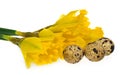 Composition of Easter eggs, flowers daffodils. Royalty Free Stock Photo