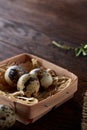 Composition of eggs quail box, eggs on a homespun napkin, boxwood on wooden background, top view Royalty Free Stock Photo