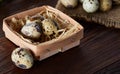 Composition of eggs quail box, eggs on a homespun napkin, boxwood on wooden background, top view Royalty Free Stock Photo