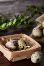 Composition of eggs quail box, eggs on a homespun napkin, boxwood on wooden background, top view Royalty Free Stock Photo