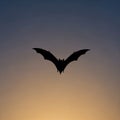 Composition emphasizes the contrast between the bat\'s dark form and the Royalty Free Stock Photo