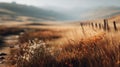 A serene and blurred photograph of a natural landscape, where the gentle foreground light is subtly in focus. Generative AI Royalty Free Stock Photo