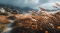 A serene and blurred photograph of a natural landscape, where the gentle foreground light is subtly in focus. Generative AI Royalty Free Stock Photo
