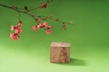 Composition empty podium material tree and spring flowers. Empty background composition for cosmetic product