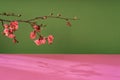 Composition empty podium material tree and spring flowers. Empty background composition for cosmetic product