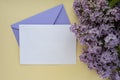 Composition with empty violet envelope and beautiful spring lilac flowers on beige background. Mockup card invitation Royalty Free Stock Photo