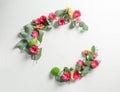 Composition with eucalyptus branches and chrysanthemum flowers on white background Royalty Free Stock Photo