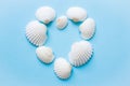 Composition of exotic sea shells on a blue background. Summer concept Royalty Free Stock Photo