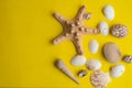 Composition of exotic sea shells on a yellow background. Summer concept. Top View