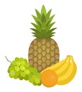 Composition exotic tropical fruits icon.