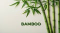 Bamboo plant with textured lettering spells bamboo against a plain background Royalty Free Stock Photo