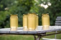 Apiary hive frame with bees wax structure full of fresh bee honey in honeycombs. on white backgroundGlass of fresh liquid