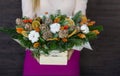 The composition of fir branches and cones in wooden box in woman hands Royalty Free Stock Photo