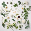 mockup white summer lay background leaf flower nature spring floral isolated. Generative AI. Royalty Free Stock Photo