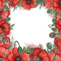 A composition of flowers and buds of red poppy, painted in watercolor, highlighted on a white background.