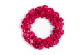 Frame of colored carnations of flowers ion circle shape