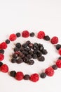 The composition of fragrant and delicious black and red raspberries on a white background are isolated in the studio Royalty Free Stock Photo