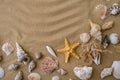 Composition frame for copy space, seashells, pebbles, mockup on sand background. Blank, top view, still life, flat lay Royalty Free Stock Photo