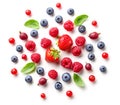 Composition of fresh berries and green leaves