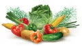 Composition of fresh colorfull vegetables decorated with herbs. Mesh vector