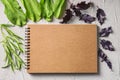 Composition with fresh herbs and notebook on textured background Royalty Free Stock Photo