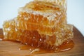 Composition with fresh honey comb and honey Royalty Free Stock Photo