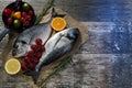 Composition with fresh Mediterranean fish Royalty Free Stock Photo